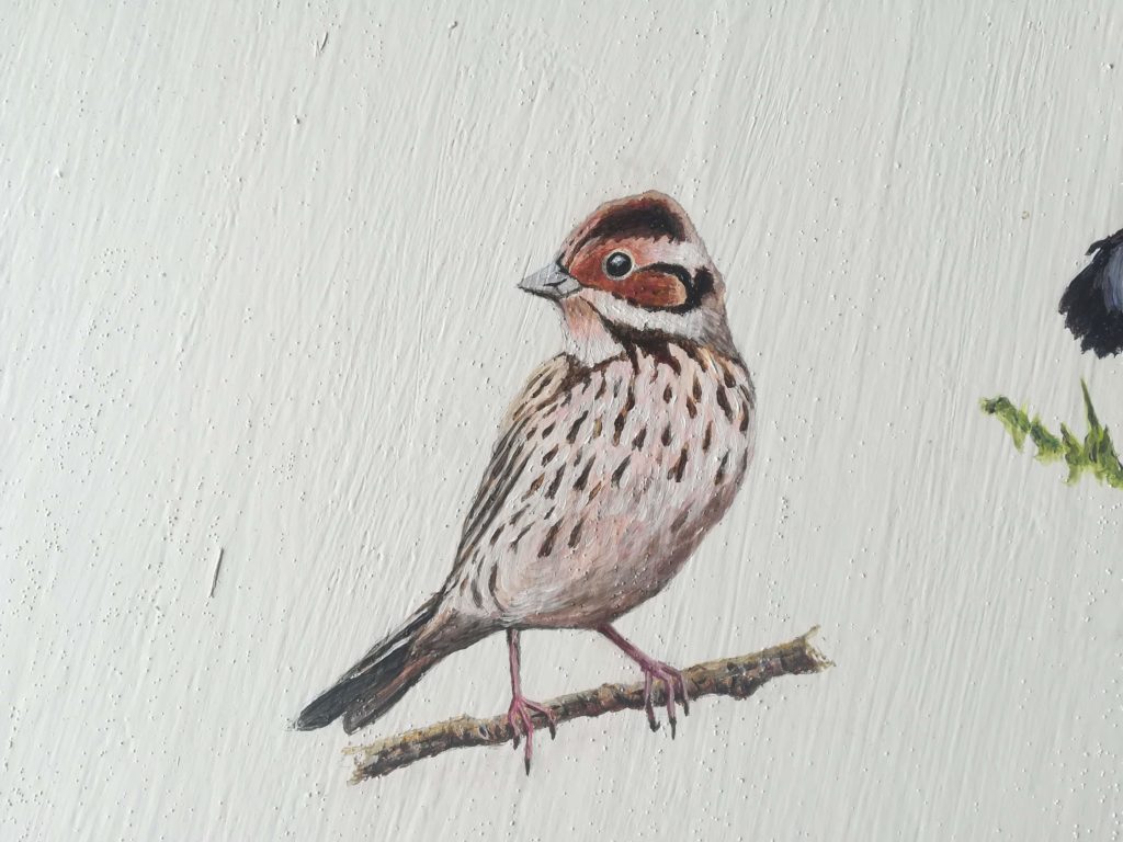 little bunting painting on skokholm island