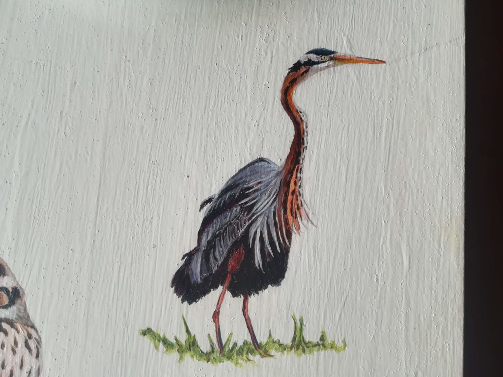 purple heron painting on Skokholm island