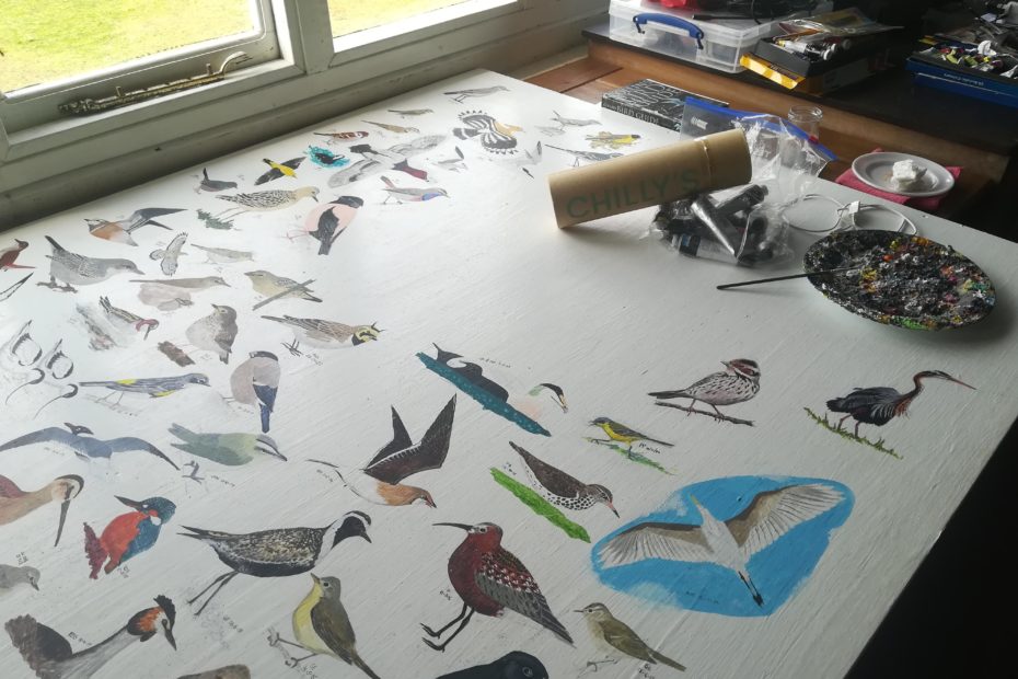 Skokholm bird observatory artwork