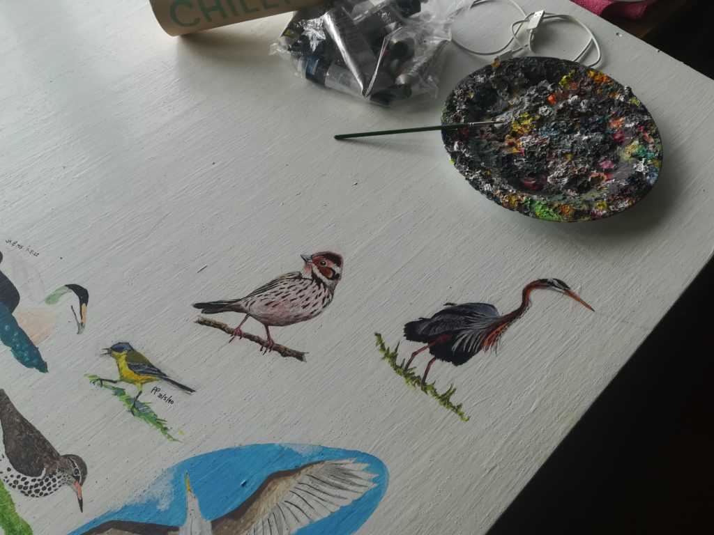 Acrylic bird paintings