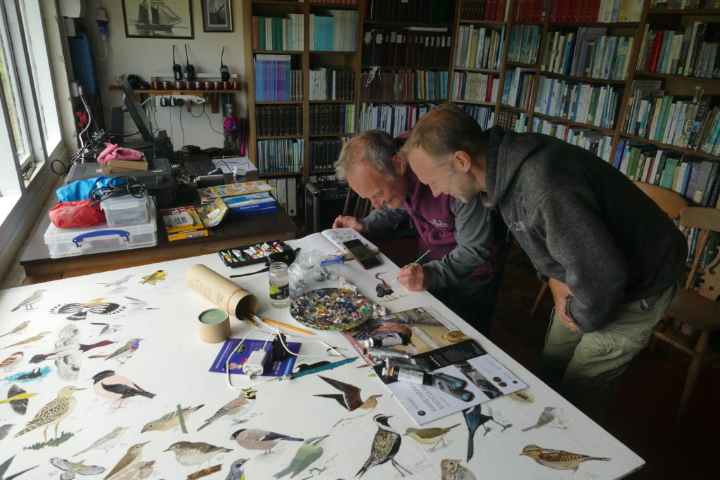 Chris Chalk and Richard Dobbins in the library on Skokholm Island painting birds