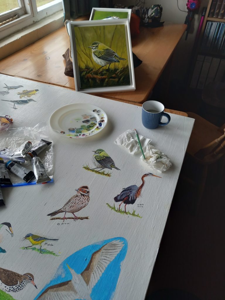 Painting a Tennessee warbler on Skokholm Island.