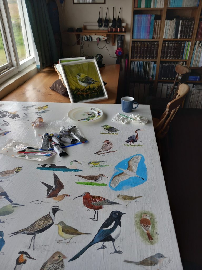 Skokholm island bird observatory library bird paintings