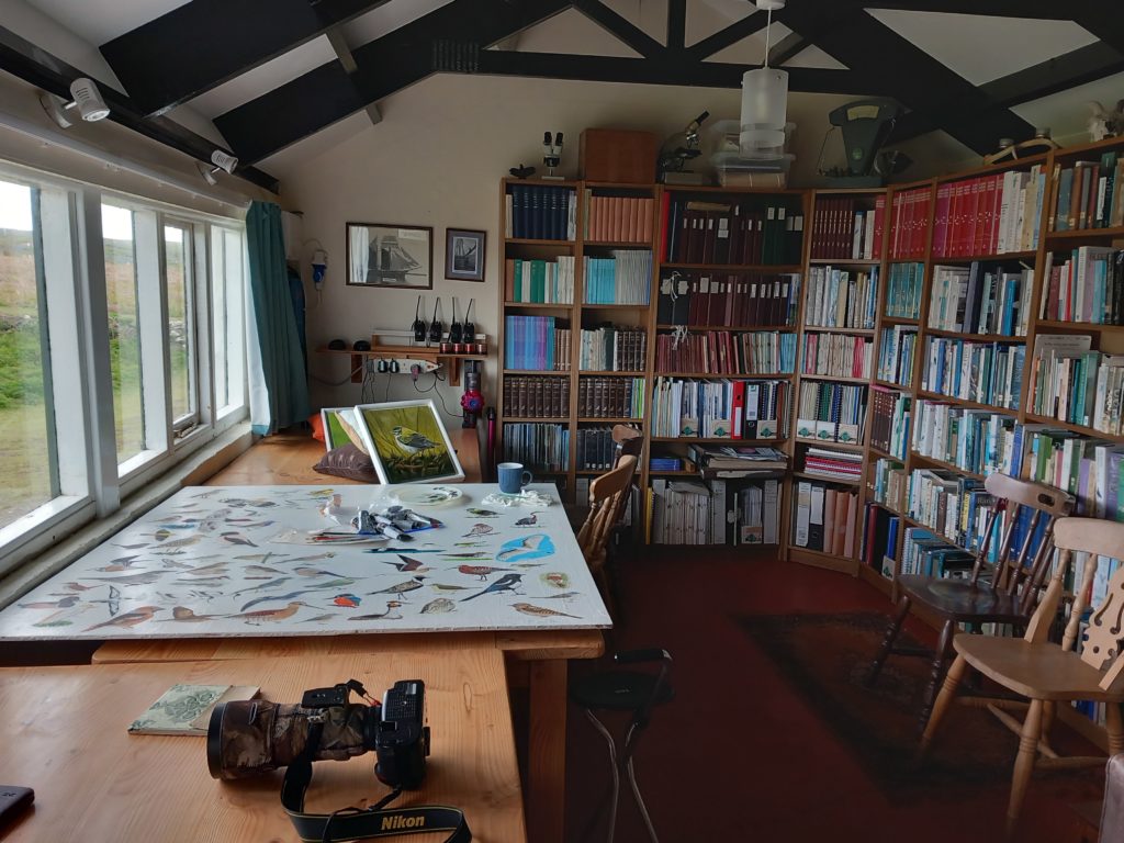 Skokholm island bird observatory library