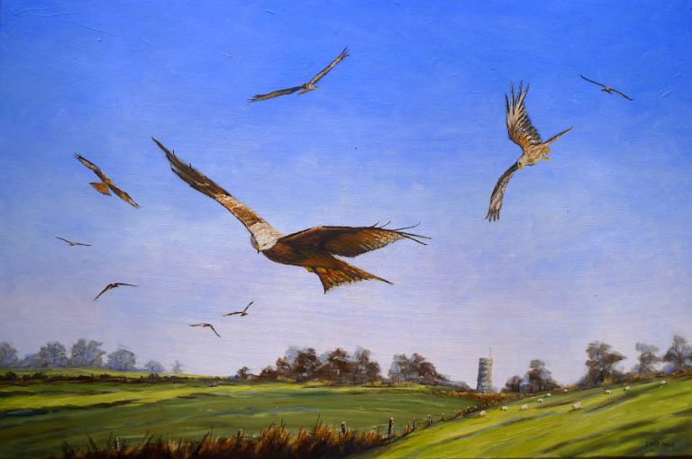 Red kites soaring over lush green countryside with a windmill in the background, vibrant sky and detailed landscape, capturing natural wildlife and rural scenery.
