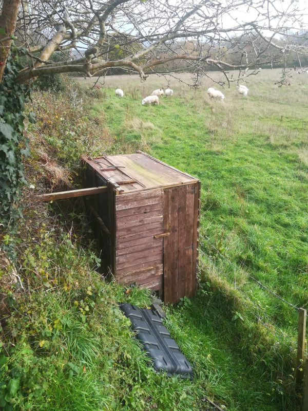 A rustic wooden wildlife watching hide in a green field with sheep grazing in the background, under a leafless tree branch.